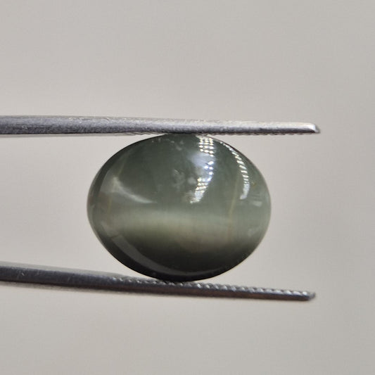 Cat's eye oval cabochon gemstone showing a bright chatoyant band across the dome